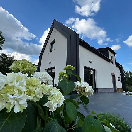 Black & White Houses Niedzica Екстериор снимка